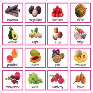 Kids Montessori Baby Learn English Word Card Flashcards Cogn