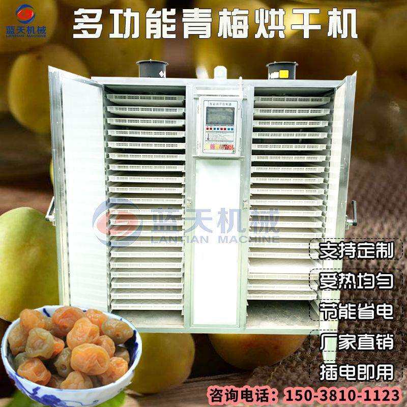 青梅烘干机小型商用青梅干烘干箱梅子果梅子肉脱水烘干设备