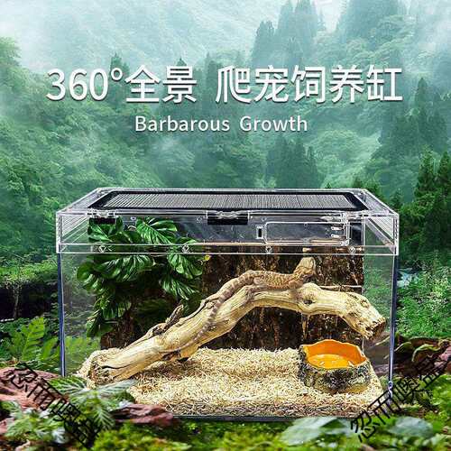 爬缸守宫蜥蜴蛇甲虫乌龟陆龟爬宠爬虫角蛙饲养箱盒专用缸鱼缸雨林