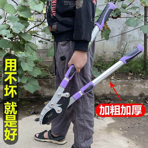 剪树枝大剪子修树枝剪刀粗枝果树修剪园林葡萄茶树伸缩杆省力
