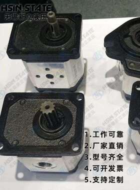 电动叉车泵 BKP0.5B0S0.26G0L0-B 液压齿轮泵 Boden博登