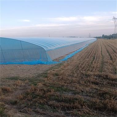 大棚骨架 热镀锌钢管种植蔬菜棚养殖棚加固椭圆管配件膜全套定制