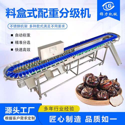 荸荠料盒式重量分选柑橘智能等级分拣橙子橘子等级分拣