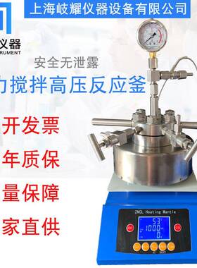 台式氢化釜磁力搅拌微型高压反应釜25ml50ml惰性气体氢化釜化学釜