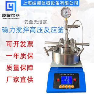 台式氢化釜磁力搅拌微型高压反应釜25ml50ml惰性气体氢化釜化学釜