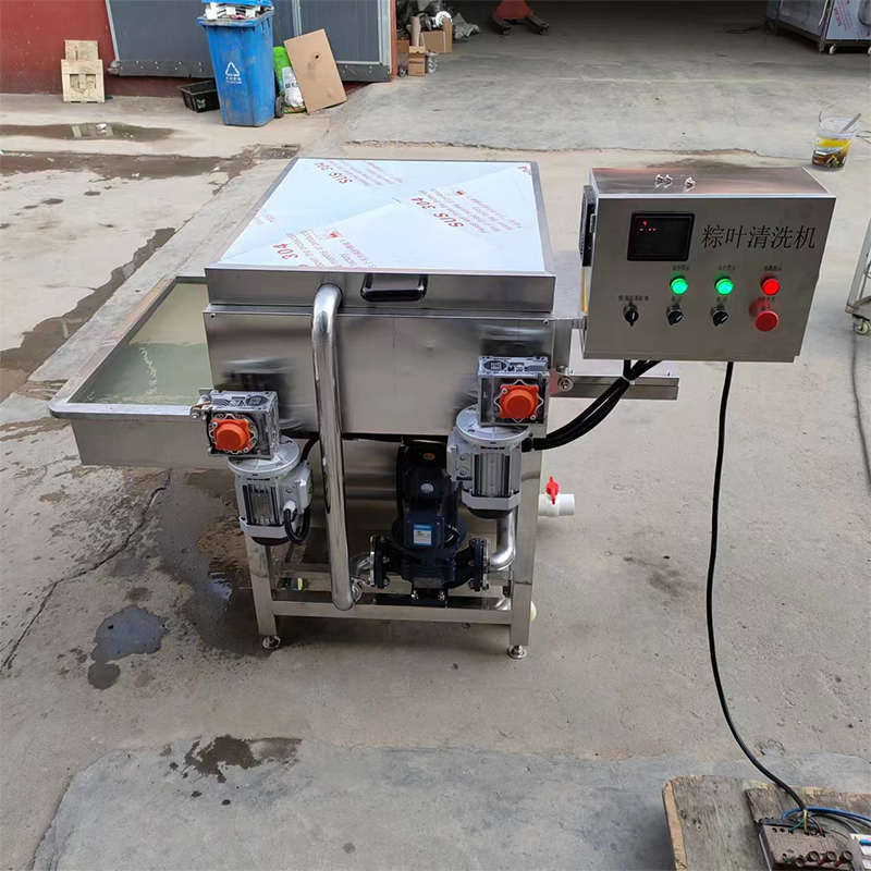 粽叶清洗机荷叶芦苇叶箬叶清洗设备枇杷叶菠萝叶连续式毛辊清洗机