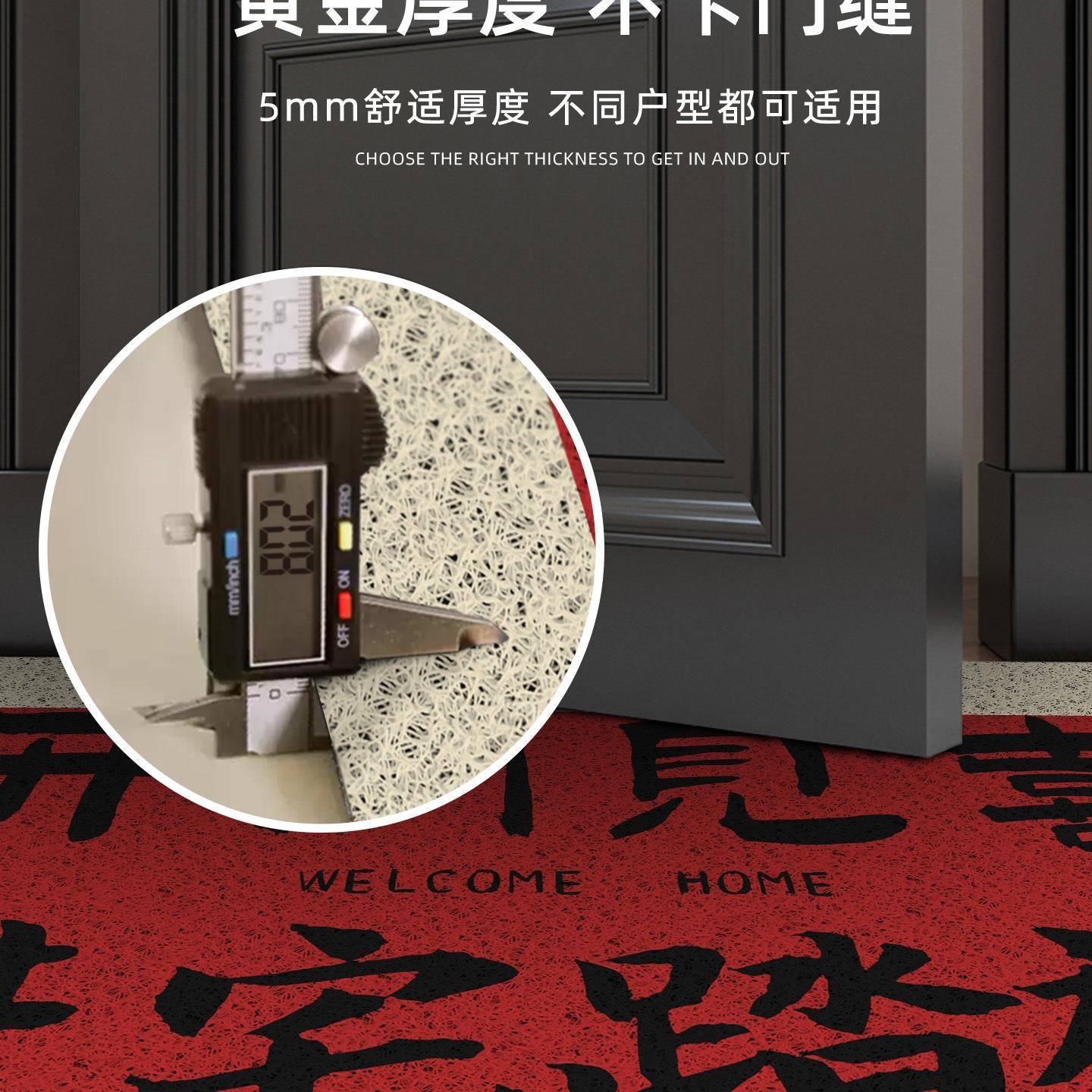 丝圈入垫户地门红色喜庆2FS759074025新款进门口脚垫门厅门垫玄关