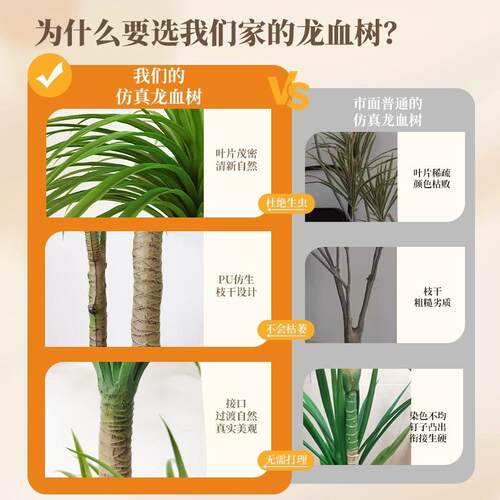 仿真绿植龙血树室内盆栽型大生植物仿真绿植假仿花树装饰造型落客
