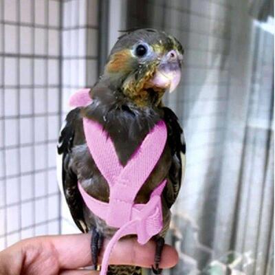 Parrot Bird Flying Traction Rope Straps Band Adjustable