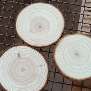 杉木圆木片 年轮diy木头块装饰背景墙小圆木片手工材料绘画原木片