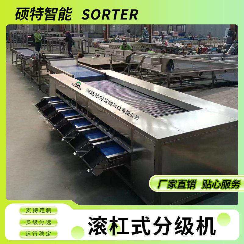 金桔青枣大小直径选果滚杠分选机红薯土豆不锈钢辊杠选果机