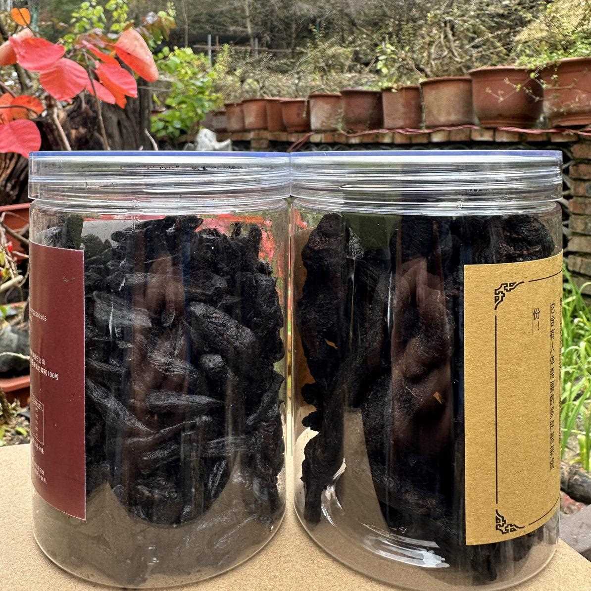 伏牛山林下仿野生（黄精茶）
