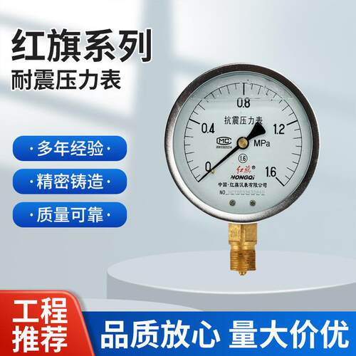 厂家直销红旗仪表耐震防震抗震压力表YTN-1000-1MPa充油压力表