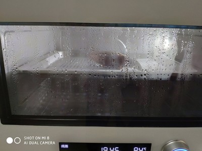 美的PS2001蒸烤箱怎么样?体验过都说好?到底是事实还是托的说词