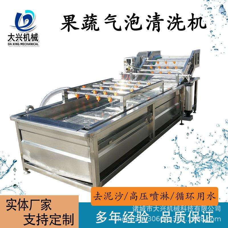 去农残果蔬气泡清洗机韭花气泡清洗机辣椒西红柿果蔬清洗设备