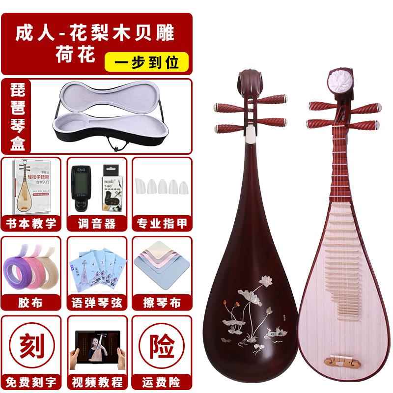 高档语弹老料红琵琶初学入门自学器演奏检定考花梨木木成乐人儿童