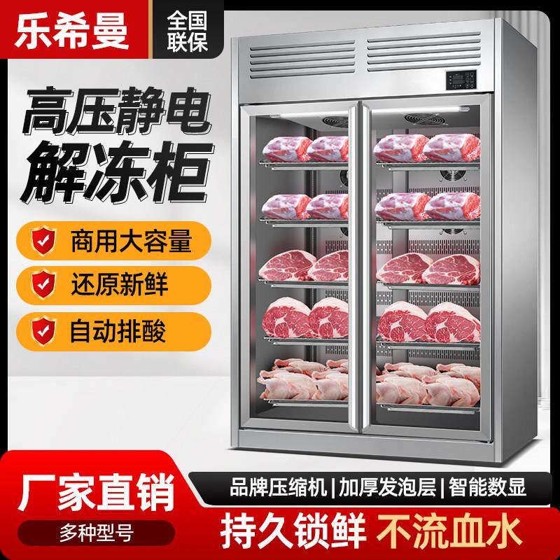 高压静电解冻柜商用低温冷藏缓化大容量猪羊牛肉抑菌化冻机排酸柜