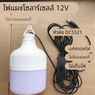 12伏专用LED灯泡DC5521接头太阳能光伏板发电系统12V球泡