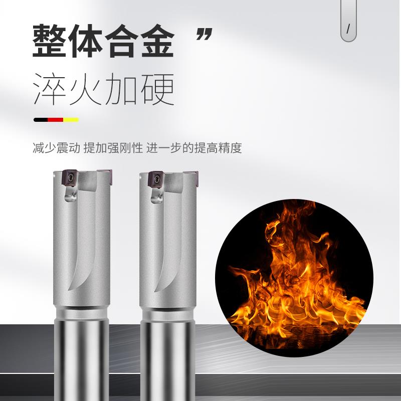 平底锪孔铣刀杆舍弃式可