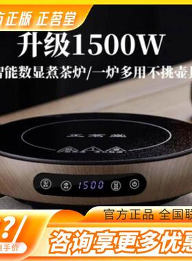 正茗堂电陶炉煮茶器小型多功能烧水壶围炉养生壶家用智能公室茶炉