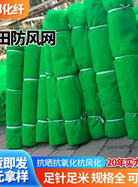 棉田防风网聚酯防尘网绿化环保工地覆盖网绿色矿石盖煤网抑尘挡风