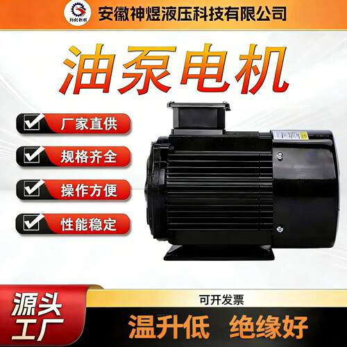 厂家直供效节能油泵电机稳定液压专用电机低噪音大扭矩经久耐用