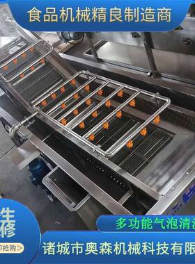 全自蓝喷淋式 莓气泡SGV清洗机 余甘子气泡清洗机不锈动钢果蔬清