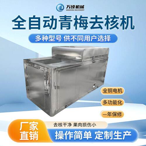 全自动青梅去核机去核干净无残留青梅去籽设备