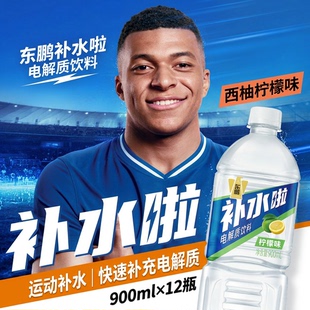 东鹏补水啦电解质饮料900ml*12瓶整箱西柚柠檬味运动补充电解质