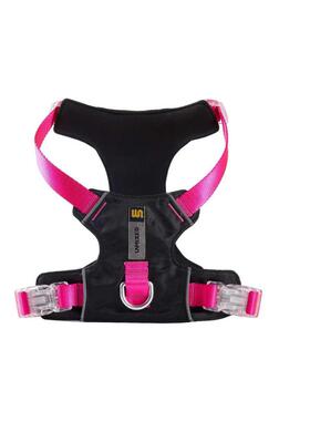 背带外出柯耐探险家渐变城市迪遛狗泰节unmixed可牵引可调胸抓衣