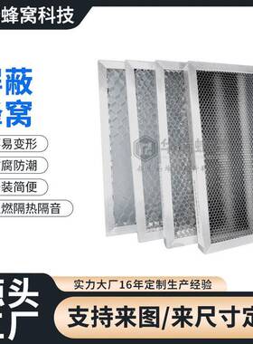 屏蔽蜂窝芯铝合金建筑幕墙装饰精密仪器电磁金属EMI屏蔽通风板