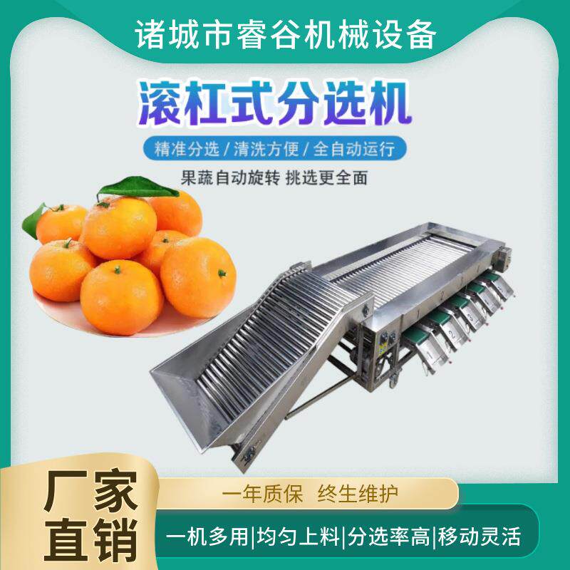 2026新款柑橘分级机 核桃龙眼大小分级机 土豆分级机胡萝卜分选机