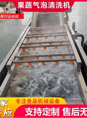 工厂用蔬菜气泡清洗机设备蒲公英气泡清洗机石花菜翻浪清洗机