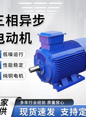 三相异步电动机YE2/YE3/YE4/电机380V卧式立式全铜线圈高效