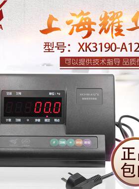 上海XK190-A12E+称重显示控制器电子秤小地磅套装仪表英文版