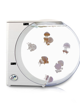 厂家10升水母鱼缸电子缸桌面生态网红摆摊缸水族箱