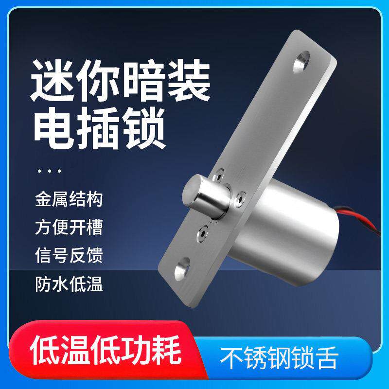 低温防水小型迷你门禁电插锁12v两芯玻璃门电控锁门禁插销锁