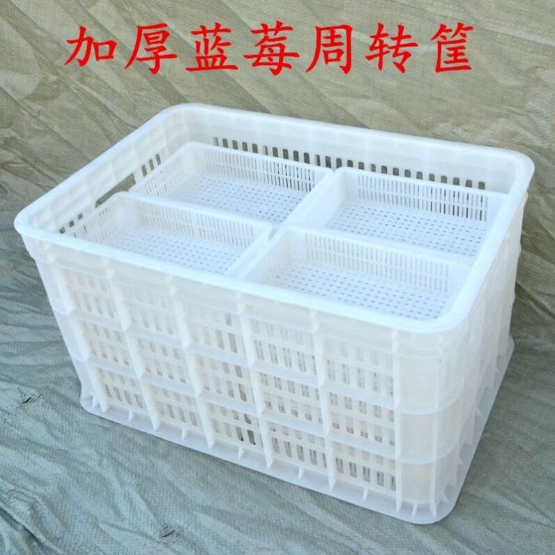蓝莓筐塑料周转筐套筐果园运输筐采摘筐水果筐桑葚杨梅杨梅胶筐