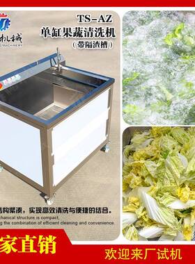 单缸隔渣款果蔬清洗机小型商用气泡洗菜机多功能清洗设备