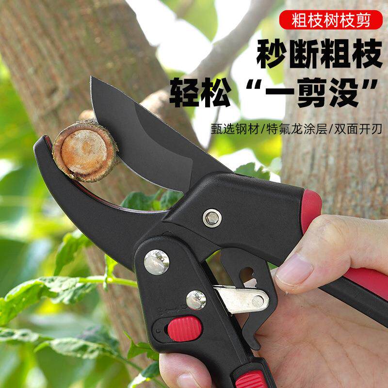 果树修枝剪树枝专用花艺花卉枝剪子剪枝园林工具花剪修剪园艺剪刀图片