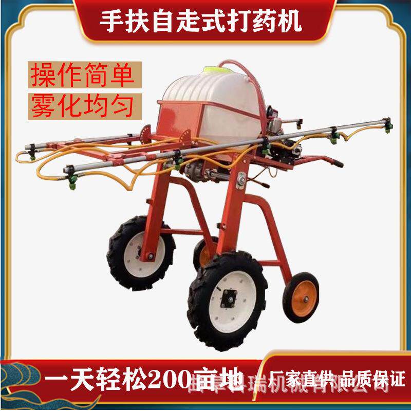 汽油打药机 蔬菜大棚多喷头手扶式喷药机 科瑞牌打农药用的机器