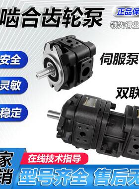 液压内啮合齿轮泵HG0-08-01R-VPC伺服油泵HG1-63-01R-VPC-36