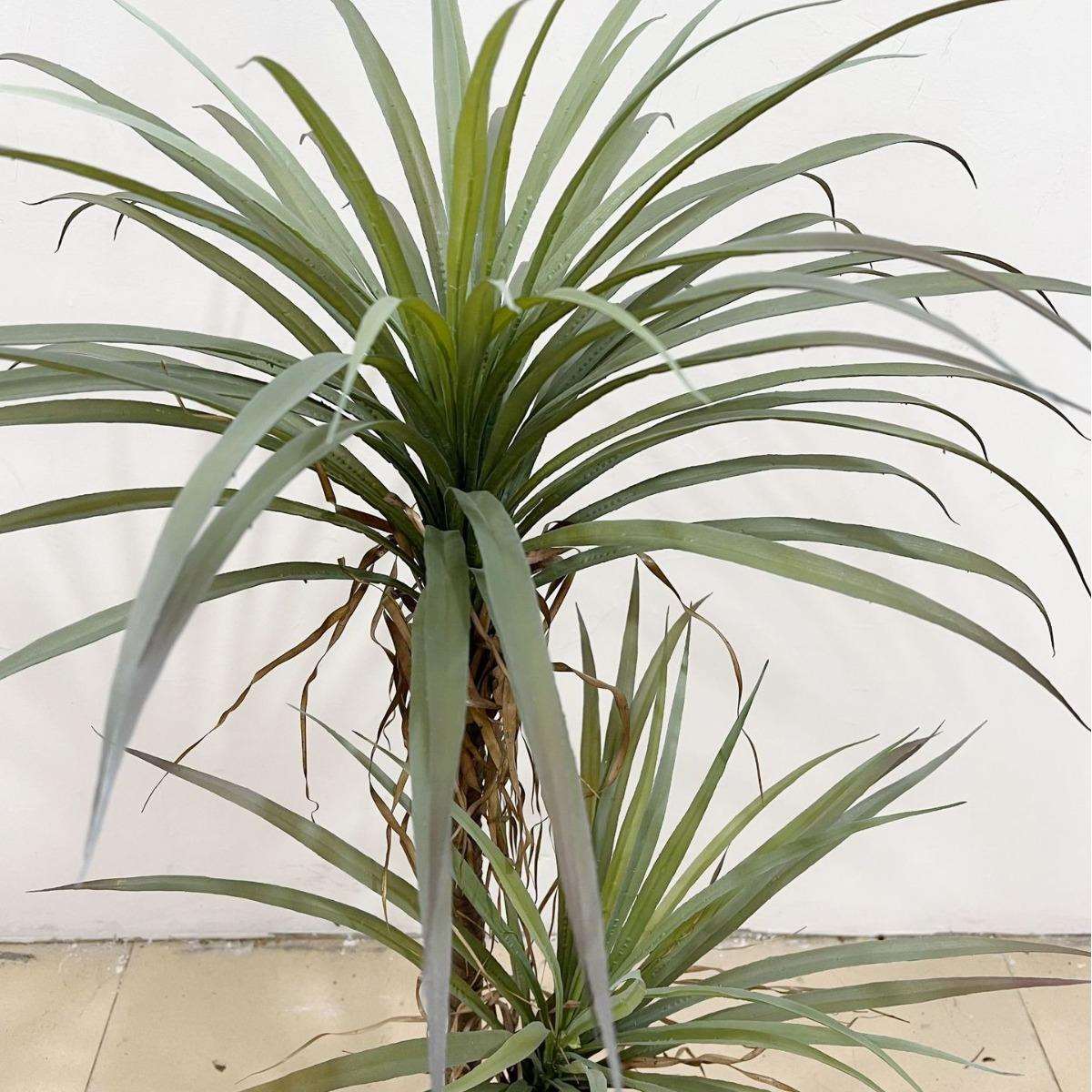 含阳仿真丝兰树盆栽绿植样板房客厅大型落地装饰植物盆景摆件造景