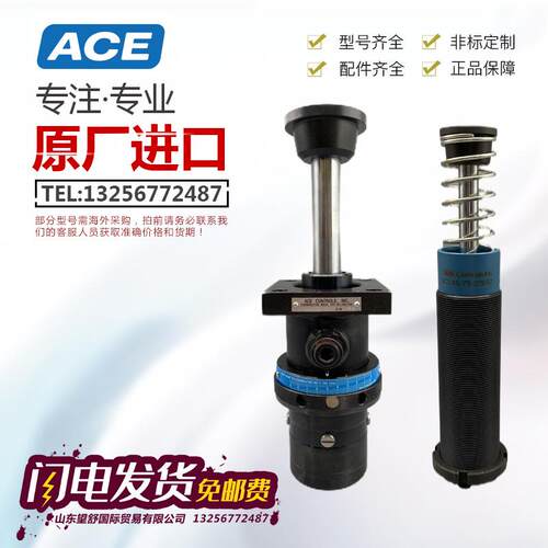 ACECA/AA1/2/3/4C/F/RSCS33/45/64/38/50/63安全型重油压缓冲器