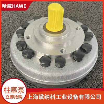 哈威R 9.8A径向柱塞泵德国HAWE液压油泵6011系列油泵 钢厂供应