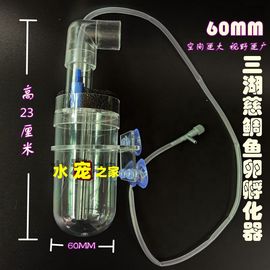 60MM三湖慈鲷鱼卵孵化器底栖异型热带鱼孵化器