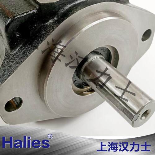 适用 PAKER 派克叶片泵 T7B 系列 总成