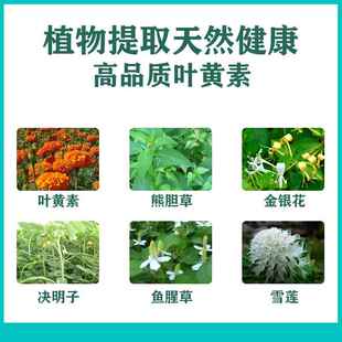 健克宁叶眼黄素熊ATJ胆护理滴液护眼液眼疲劳干涩模糊部清洁理液