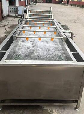 桑葚果清洗机 槐花清洗流水线 榆钱清洗机器  义康制造