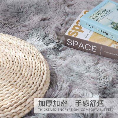 Carpets Plush carpet bedroom rug bedside blanket floor mat